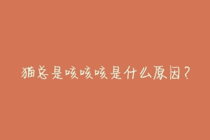 猫总是咳咳咳是什么原因?