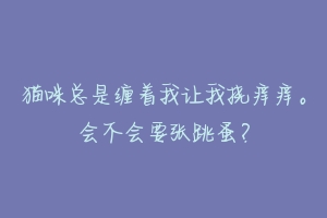 猫咪总是缠着我让我挠痒痒。会不会要张跳蚤？
