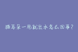 猫耳朵一甩就出水怎么回事?