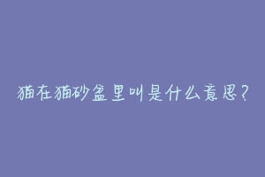 猫在猫砂盆里叫是什么意思？