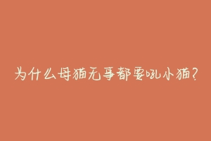 为什么母猫无事都要吼小猫?