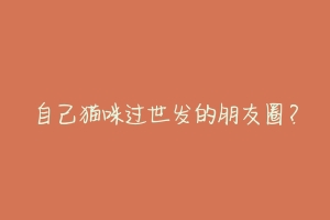 自己猫咪过世发的朋友圈?