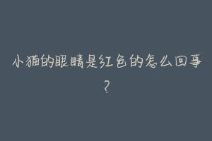 小猫的眼睛是红色的怎么回事?