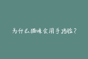 为什么猫咪会用手挡脸?