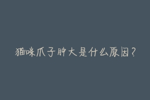 猫咪爪子肿大是什么原因?