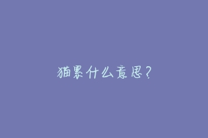 猫累什么意思?