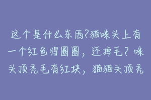 这个是什么东西?猫咪头上有一个红色得圈圈，还掉毛？咪头顶秃毛有红块，猫猫头顶秃掉毛多，是什么？