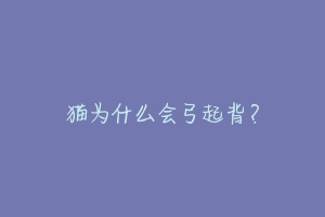 猫为什么会弓起背?