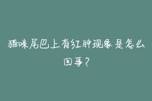 猫咪尾巴上有红肿现象是怎么回事？