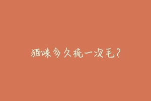 猫咪多久梳一次毛?
