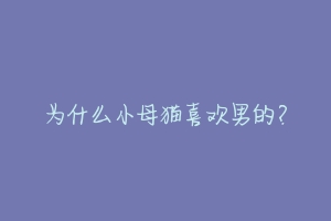 为什么小母猫喜欢男的?