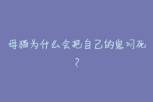 母猫为什么会把自己的崽叼死?