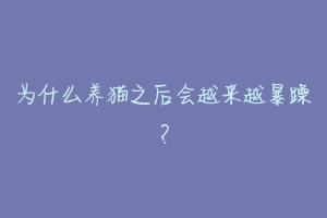 为什么养猫之后会越来越暴躁?
