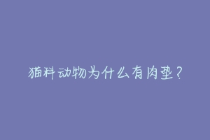 猫科动物为什么有肉垫?
