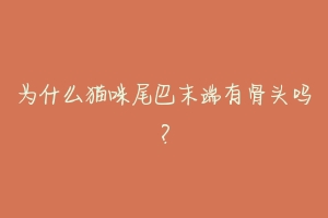 为什么猫咪尾巴末端有骨头吗?