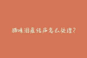 猫咪泪痕结痂怎么处理?