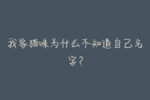 我家猫咪为什么不知道自己名字?