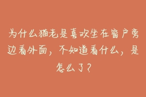 为什么猫老是喜欢坐在窗户旁边看外面,不知道看什么,是怎么了?