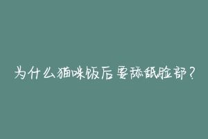 为什么猫咪饭后要舔舐脸部?