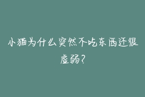 小猫为什么突然不吃东西还很虚弱?