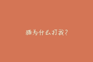 猫为什么打我?