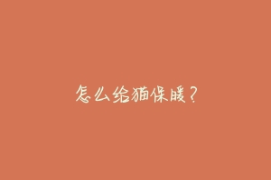 怎么给猫保暖?
