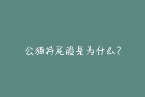 公猫抖屁股是为什么?
