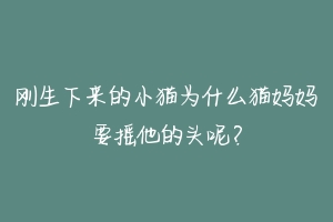 刚生下来的小猫为什么猫妈妈要摇他的头呢?