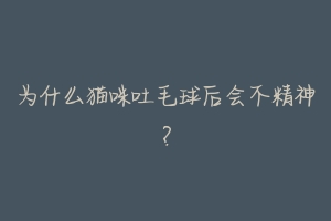 为什么猫咪吐毛球后会不精神？