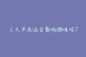 人大声说话会影响猫咪吗?