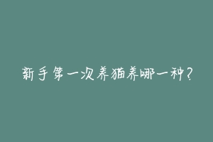 新手第一次养猫养哪一种?