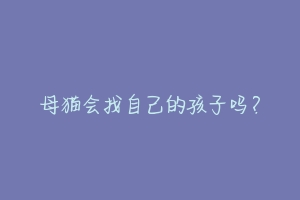 母猫会找自己的孩子吗?