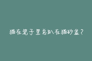 猫在笼子里总趴在猫砂盆?