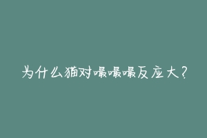 为什么猫对嘬嘬嘬反应大?