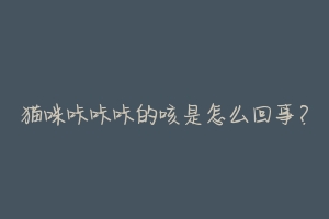 猫咪咔咔咔的咳是怎么回事?