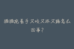 猫猫抱着手又咬又抓又踹怎么回事?