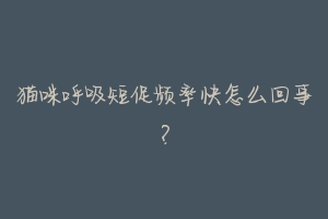 猫咪呼吸短促频率快怎么回事？