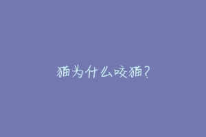猫为什么咬猫?