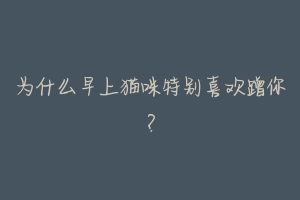 为什么早上猫咪特别喜欢蹭你?