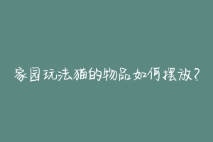 家园玩法猫的物品如何摆放?