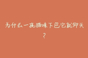 为什么一挠猫咪下巴它就仰头?