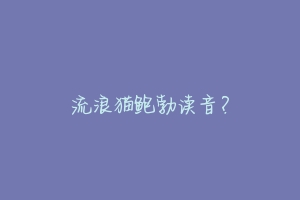 流浪猫鲍勃读音?
