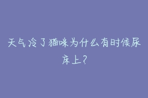 天气冷了猫咪为什么有时候尿床上?