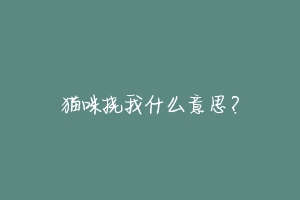 猫咪挠我什么意思?