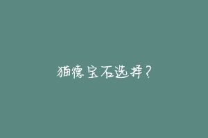 猫德宝石选择?