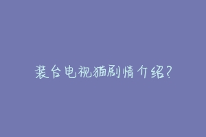装台电视猫剧情介绍?