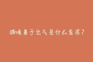 猫咪鼻子出气是什么意思?
