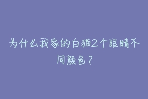 为什么我家的白猫2个眼睛不同颜色?