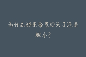 为什么猫来家里10天了还是胆小？