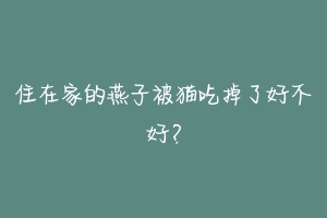 住在家的燕子被猫吃掉了好不好?